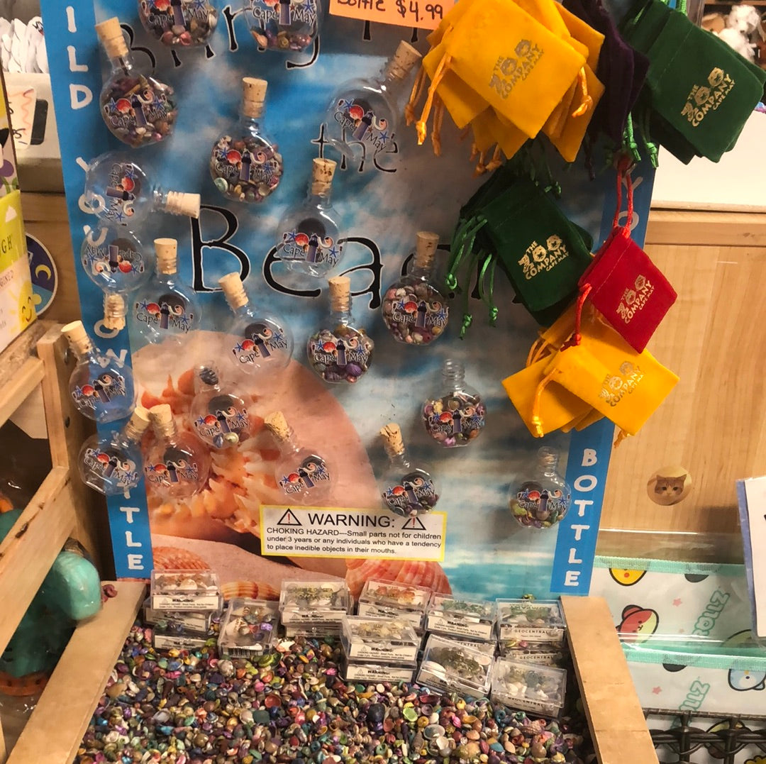 MAG / BAG O' Shells The Zoo Company Toy Store