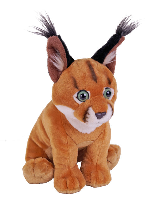 CK Caracal 12" The Zoo Company Toy Store