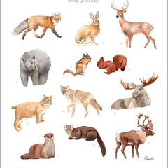 Collection image for: Woodland Animals