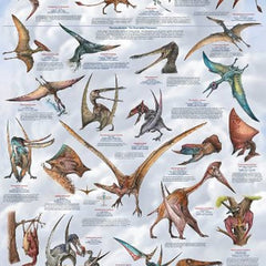 Collection image for: Prehistoric Flyers