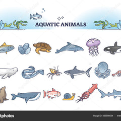 Collection image for: Aquatic Animals