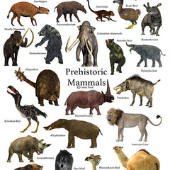 Collection image for: Prehistoric Mammals