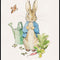 Peter Rabbit