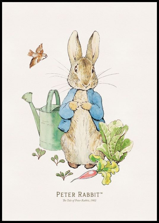 Peter Rabbit