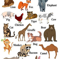 Collection image for: Land Animals