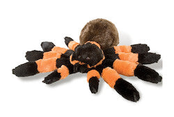 CK Tarantula