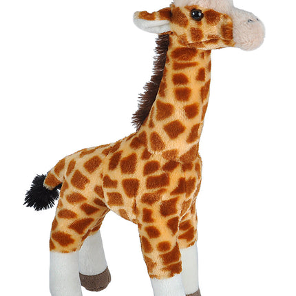 CK Giraffe