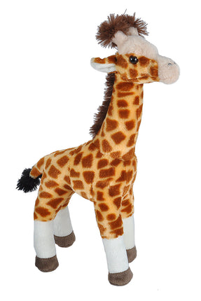 CK Giraffe