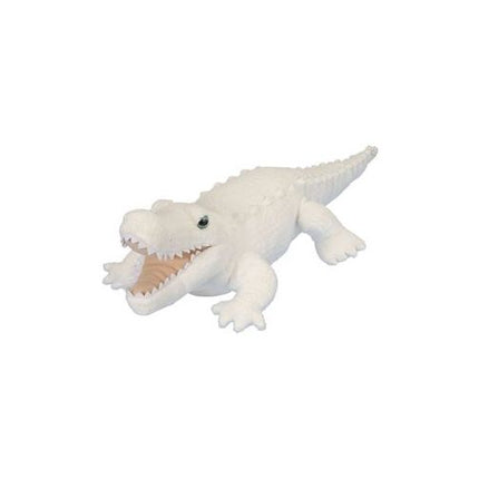 CK Albino Alligator 23"