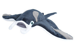 CK Manta Ray