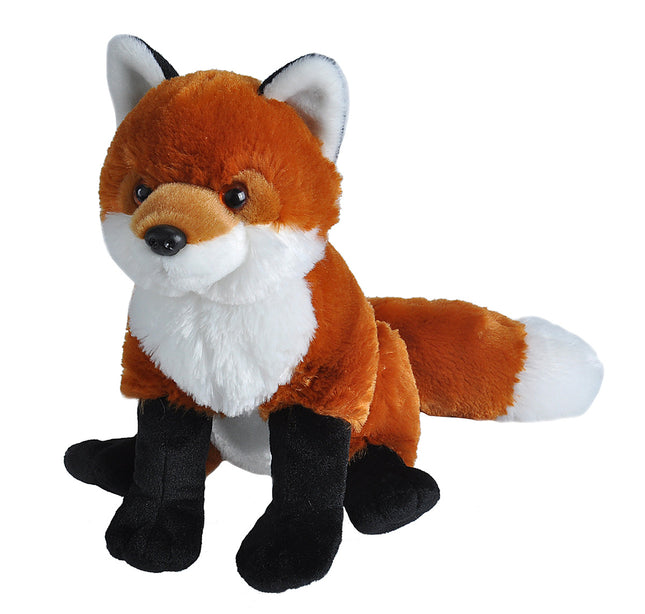 CK Red Fox