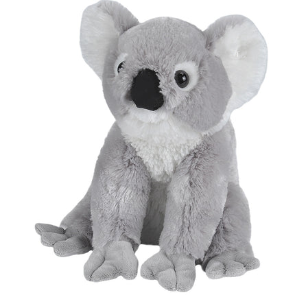 CK Koala