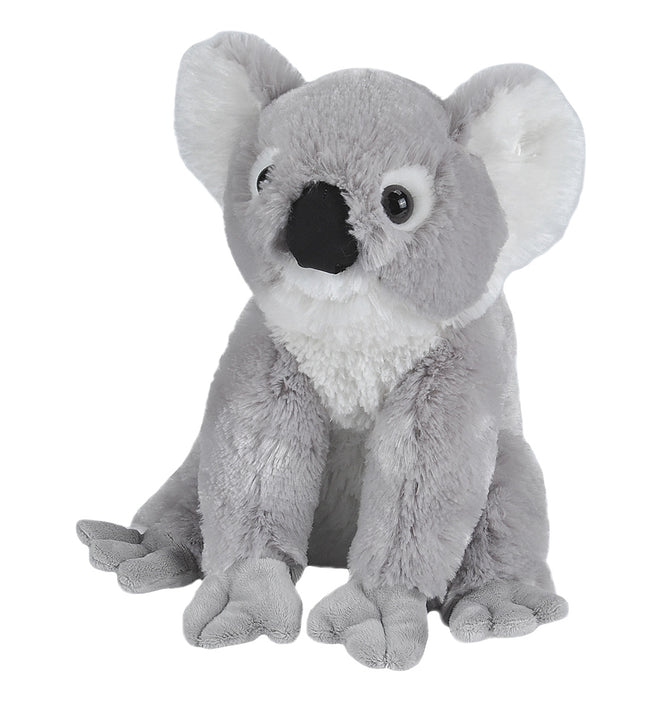 CK Koala