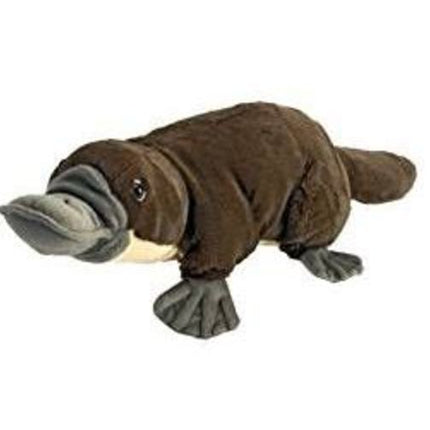 CK Platypus