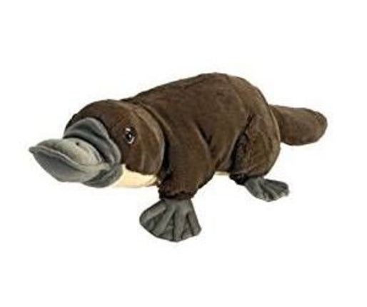 CK Platypus