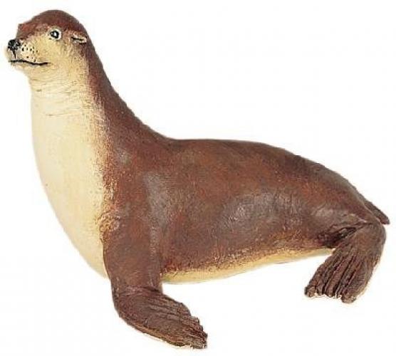 WSS Sea Lion