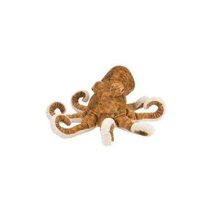 CK Octopus