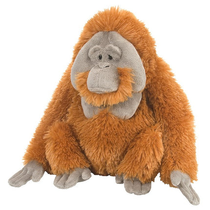 CK Orangutan