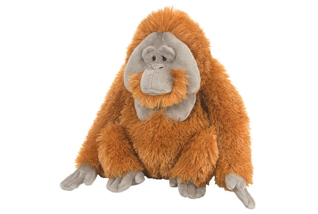 CK Orangutan