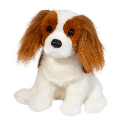 Kingsly King Charles Cavalier Dog