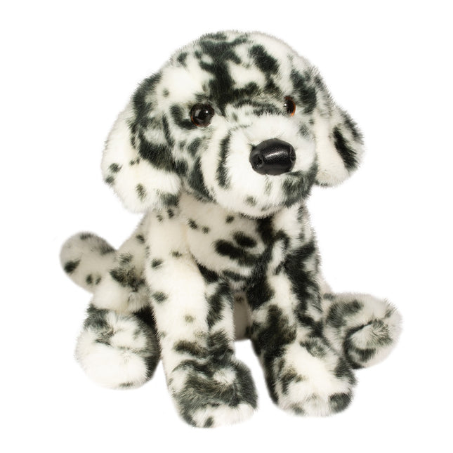 Mackay Dalmatian Dog