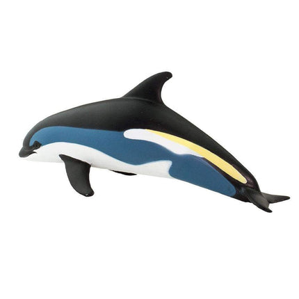 WSS Atlantic White-Sided Dolphin