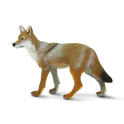 WSW Coyote