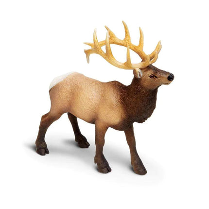 WSW Elk Bull