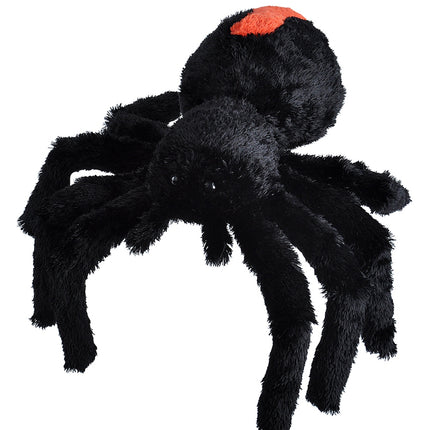 CK Redback Spider