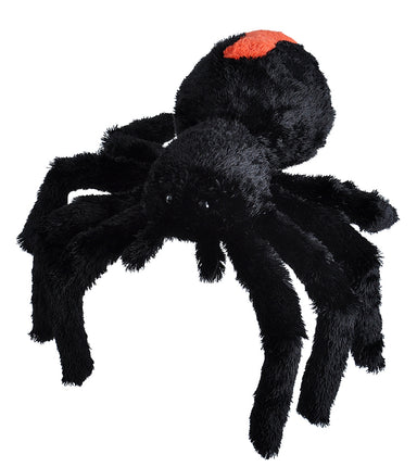 CK Redback Spider