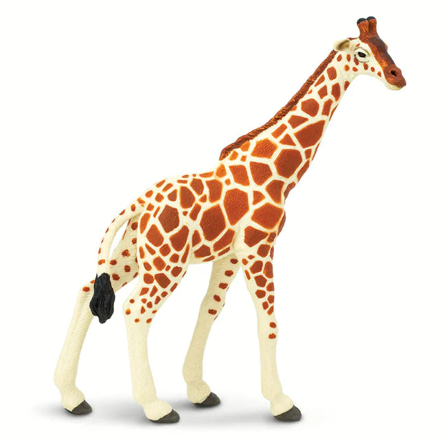 WSW Reticulated Giraffe Adult