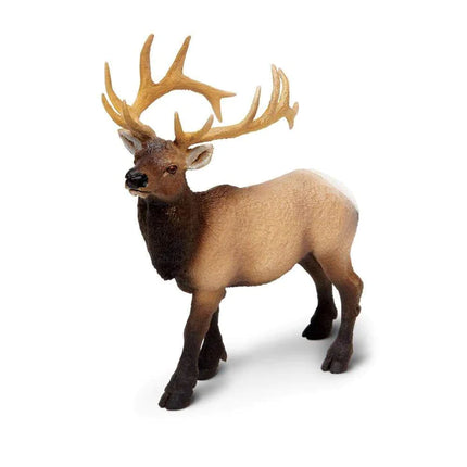 WSW Elk Bull