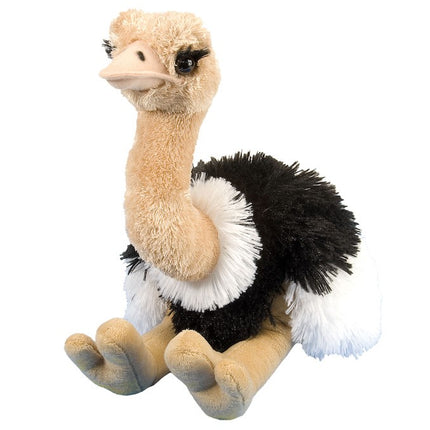 CK Ostrich