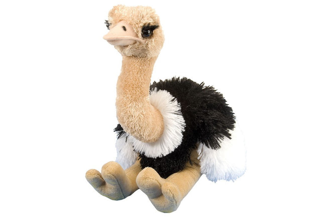 CK Ostrich