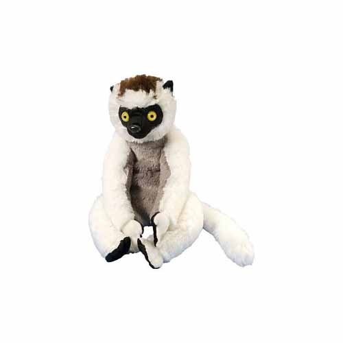 CK Verreaux's Sifaka