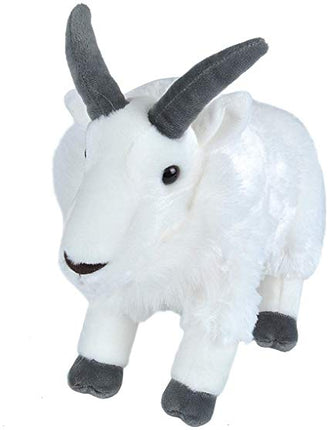 CK Mountain Goat