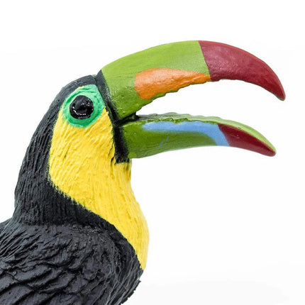 WSB Toucan Bird