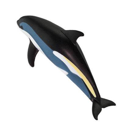 WSS Atlantic White-Sided Dolphin