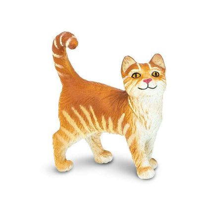 WSP Tabby Cat (Orange)