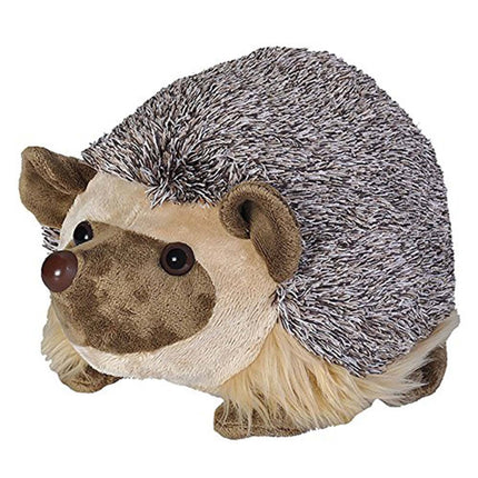 CK African Hedgehog