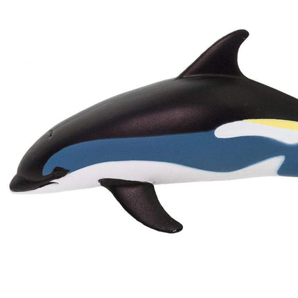 WSS Atlantic White-Sided Dolphin