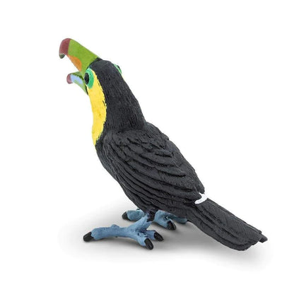 WSB Toucan Bird