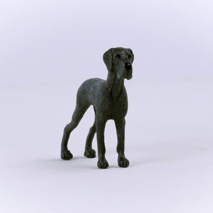 DOG Great Dane