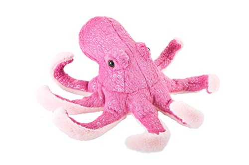 FK Octopus