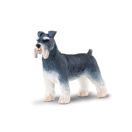 WSP Schnauzer