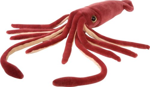 HANG Giant Squid