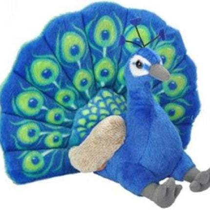 CK Peacock