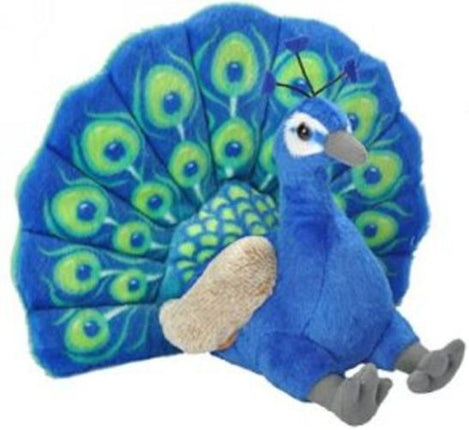 CK Peacock