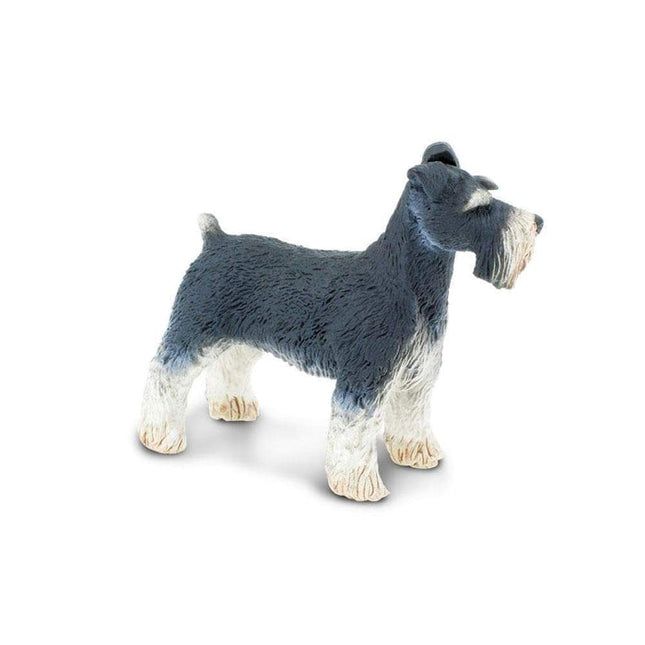 WSP Schnauzer