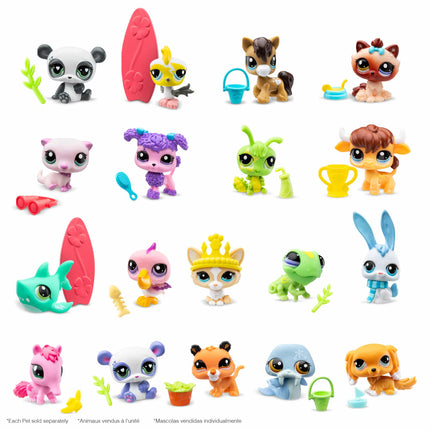 LPS S2 BB